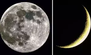 During Amavasya and Pournami: అమావాస్య - పౌర్ణమి సమయంలో మానసిక ఆందోళనకు కారణమేంటీ? During Amavasya and Pournami: అమావాస్య - పౌర్ణమి సమయంలో మానసిక ఆందోళనకు కారణమేంటీ?
