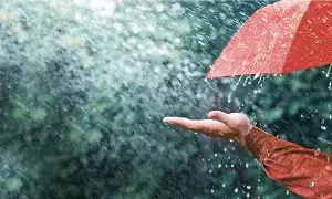 In Shravan Month: శ్రావణ మాసంలో వర్షపు నీటితో ఇలా చేస్తే.. సమస్యలన్నీ మాయం In Shravan Month: శ్రావణ మాసంలో వర్షపు నీటితో ఇలా చేస్తే.. సమస్యలన్నీ మాయం