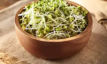 Sprouts Health Tip: మొలకలు ఎప్పుడు తింటే మంచిది? Sprouts Health Tip: మొలకలు ఎప్పుడు తింటే మంచిది?