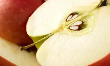 While Eating an Apple: ఆపిల్ తినేటప్పుడు ఈ పొరపాటు అస్సలు చేయొద్దు..? While Eating an Apple: ఆపిల్ తినేటప్పుడు ఈ పొరపాటు అస్సలు చేయొద్దు..?