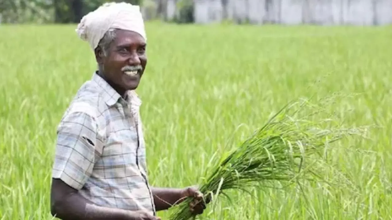 India-UK FTA : ఇండియా-యూకే స్వేచ్ఛా వాణిజ్య ఒప్పందం.. రైతులకు గుడ్ న్యూస్ India-UK FTA : ఇండియా-యూకే స్వేచ్ఛా వాణిజ్య ఒప్పందం.. రైతులకు గుడ్ న్యూస్