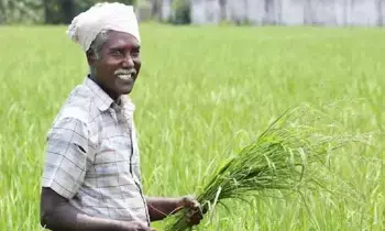 India-UK FTA : ఇండియా-యూకే స్వేచ్ఛా వాణిజ్య ఒప్పందం.. రైతులకు గుడ్ న్యూస్ India-UK FTA : ఇండియా-యూకే స్వేచ్ఛా వాణిజ్య ఒప్పందం.. రైతులకు గుడ్ న్యూస్