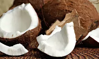 Coconut and Health: కొబ్బరి ఆరోగ్యానికి మంచిదా..? దానితో లాభాలేంటీ..? Coconut and Health: కొబ్బరి ఆరోగ్యానికి మంచిదా..? దానితో లాభాలేంటీ..?