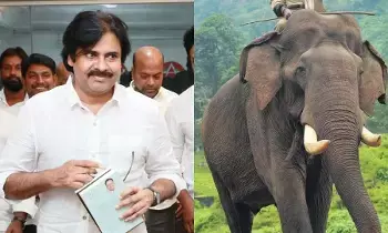 Pavan Kalyan : ఏనుగులు సంచరించే ప్రాంత ప్రజలను అప్రమత్తం చేయాలి Pavan Kalyan : ఏనుగులు సంచరించే ప్రాంత ప్రజలను అప్రమత్తం చేయాలి