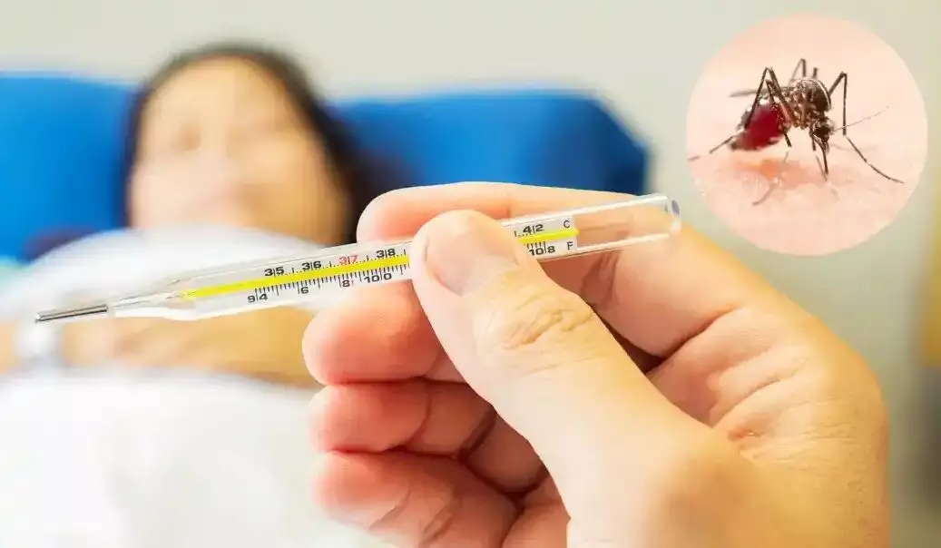 Worried About Dengue: వర్షాకాలంలో డెంగ్యూను నివారించడానికి ఈ చిట్కాలు ఫాలో అవ్వండి Worried About Dengue: వర్షాకాలంలో డెంగ్యూను నివారించడానికి ఈ చిట్కాలు ఫాలో అవ్వండి