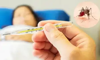 Worried About Dengue: వర్షాకాలంలో డెంగ్యూను నివారించడానికి ఈ చిట్కాలు ఫాలో అవ్వండి Worried About Dengue: వర్షాకాలంలో డెంగ్యూను నివారించడానికి ఈ చిట్కాలు ఫాలో అవ్వండి