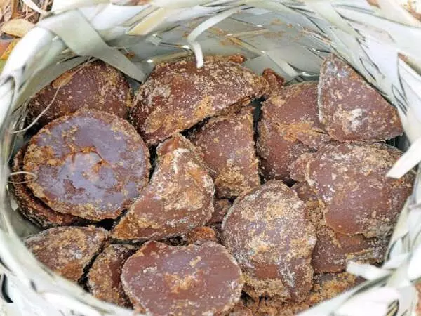 Palm Jaggery Is a Powerhouse: తాటి బెల్లాన్ని లైట్ తీసుకోకండి.. బెనిఫిట్స్ తెలిస్తే అసలు వదలరు..