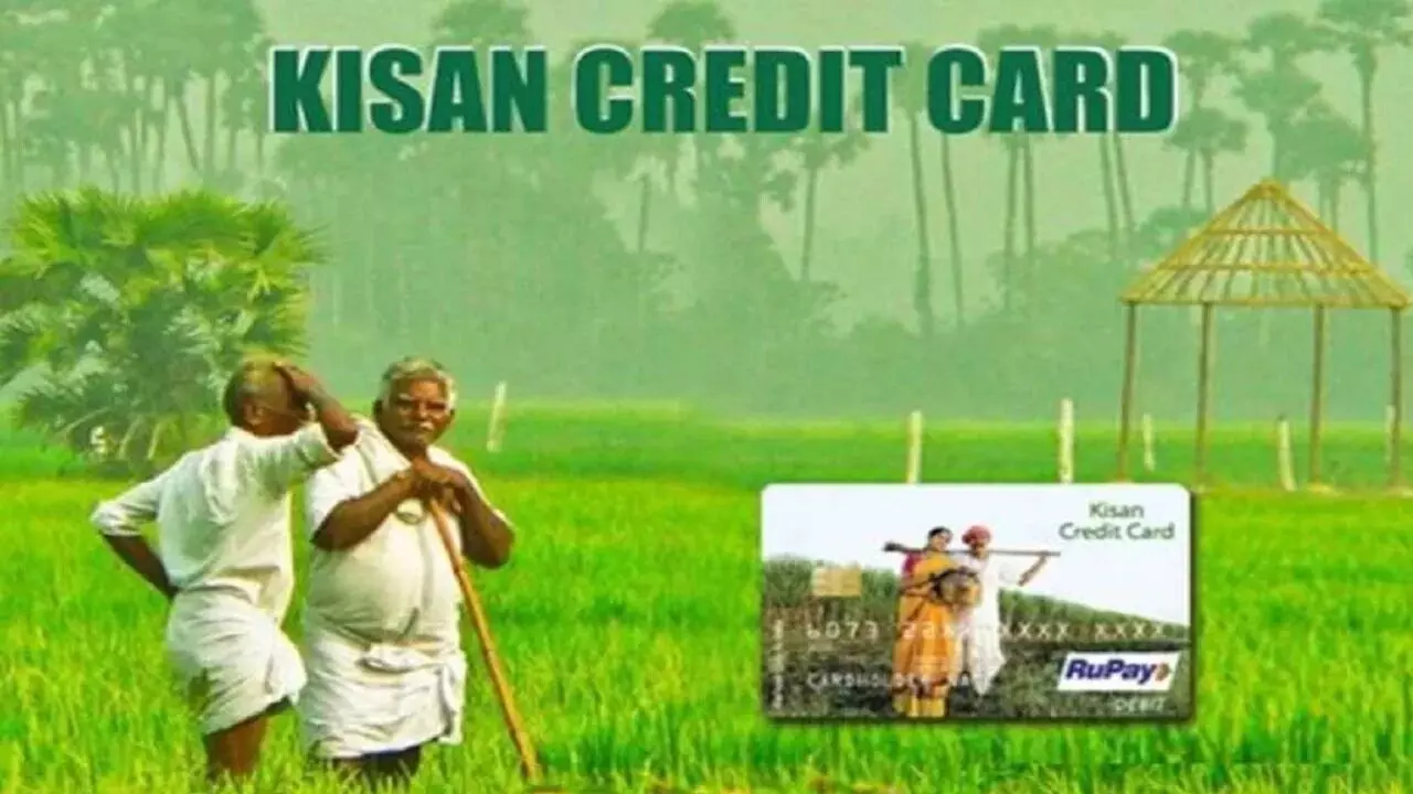 KCC : రైతులు వ్యవసాయాన్ని వదిలేస్తున్నారా? KCC ఖాతాల గణాంకాలు ఏం చెబుతున్నాయంటే ?