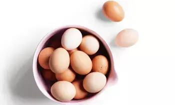 Eggs and Cholesterol: కొలెస్ట్రాల్ సమస్యలు ఉన్నవారు గడ్లు తినవచ్చా? Eggs and Cholesterol: కొలెస్ట్రాల్ సమస్యలు ఉన్నవారు గడ్లు తినవచ్చా?
