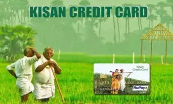 KCC : రైతులు వ్యవసాయాన్ని వదిలేస్తున్నారా? KCC ఖాతాల గణాంకాలు ఏం చెబుతున్నాయంటే ? KCC : రైతులు వ్యవసాయాన్ని వదిలేస్తున్నారా? KCC ఖాతాల గణాంకాలు ఏం చెబుతున్నాయంటే ?