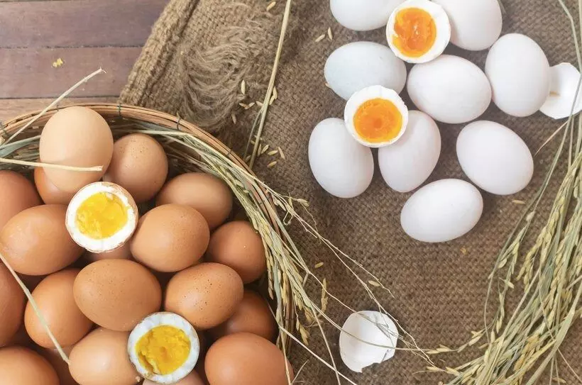 White or Brown Egg: తెల్ల లేదా గోధుమ..  ఏ గుడ్డు ఆరోగ్యానికి మంచిది
