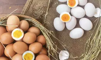 White or Brown Egg: తెల్ల లేదా గోధుమ.. ఏ గుడ్డు ఆరోగ్యానికి మంచిది White or Brown Egg: తెల్ల లేదా గోధుమ.. ఏ గుడ్డు ఆరోగ్యానికి మంచిది