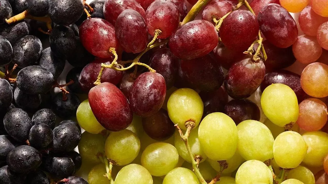 Benefits of Grapes: ద్రాక్షతో ఇన్ని ఆరోగ్య లాభాలా..? తెలుసుకుంటే అవాక్కే..
