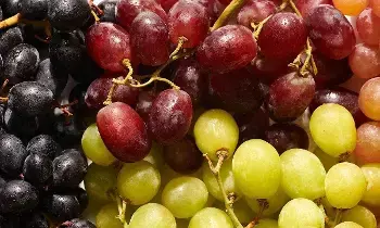 Benefits of Grapes: ద్రాక్షతో ఇన్ని ఆరోగ్య లాభాలా..? తెలుసుకుంటే అవాక్కే.. Benefits of Grapes: ద్రాక్షతో ఇన్ని ఆరోగ్య లాభాలా..? తెలుసుకుంటే అవాక్కే..