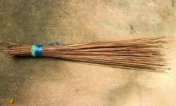 New Broom: కొత్త చీపురు కొంటున్నారా..? ఈ తప్పులు చేస్తే లక్ష్మీదేవి ఆగ్రహానికి గురవుతారు New Broom: కొత్త చీపురు కొంటున్నారా..? ఈ తప్పులు చేస్తే లక్ష్మీదేవి ఆగ్రహానికి గురవుతారు