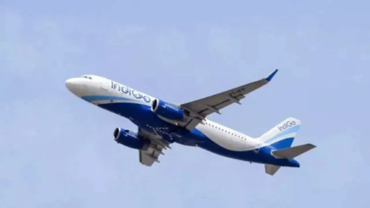 Indigo Airlines : మురికి సీటు ఇచ్చినందుకు ఇండిగో ఎయిర్లైన్స్ కు భారీ జరిమానా Indigo Airlines : మురికి సీటు ఇచ్చినందుకు ఇండిగో ఎయిర్లైన్స్ కు భారీ జరిమానా