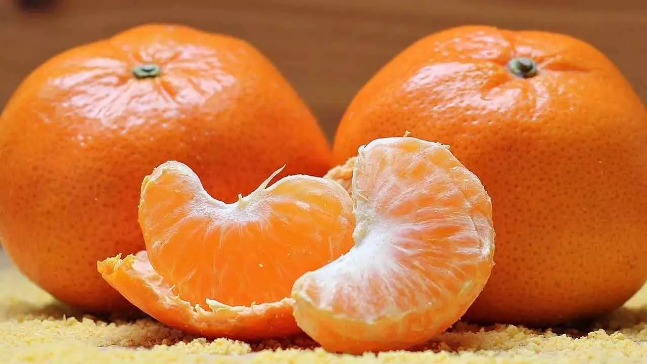 Daily Orange Consumption:  రోజూ ఆరెంజ్ పండు తింటే ఇన్ని లాభాలా..? తెలిస్తే అవాక్కే..