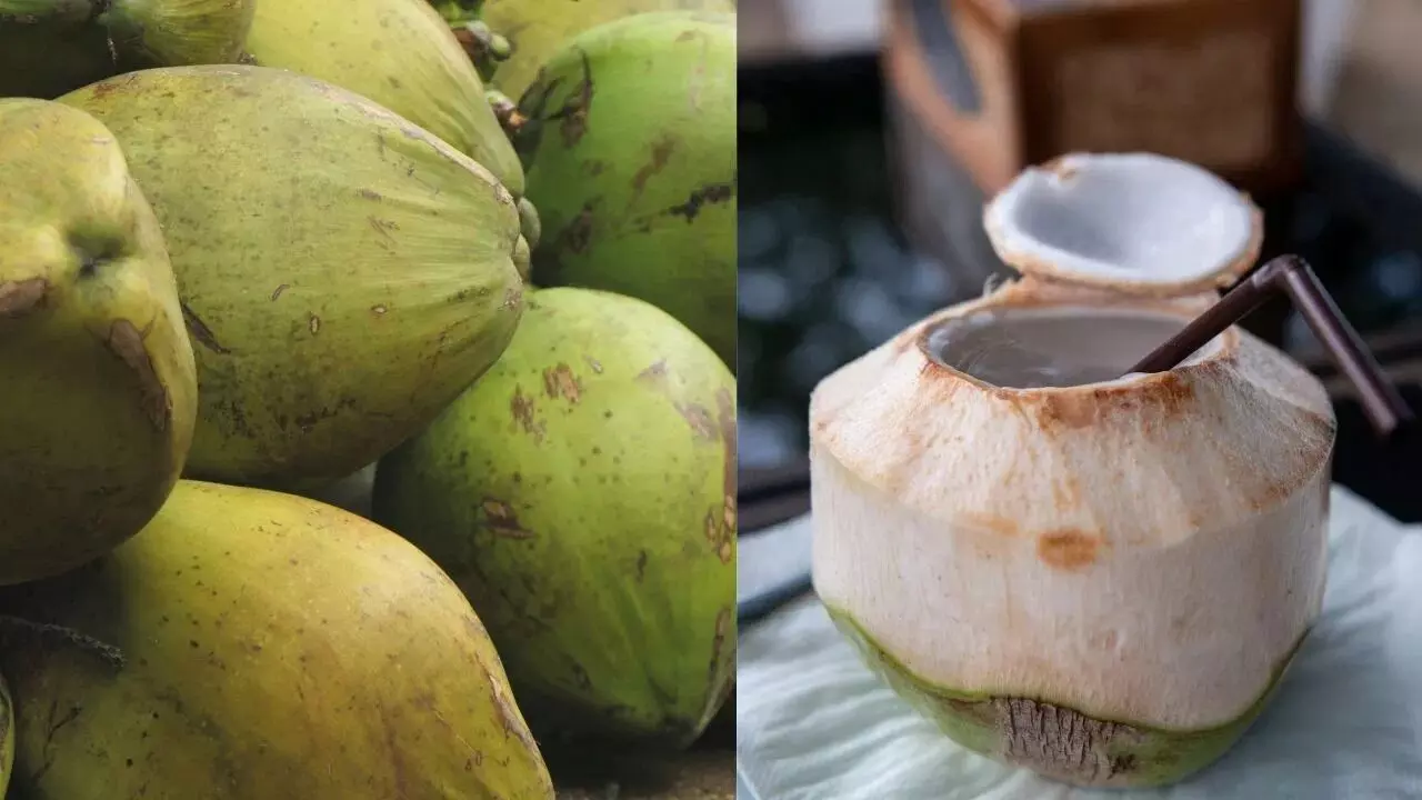 Drinking Coconut Water: ఈ 6 ఆరోగ్య సమస్యలు ఉన్నవారు కొబ్బరి నీరు తాగకూడదు..!