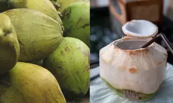 Drinking Coconut Water: ఈ 6 ఆరోగ్య సమస్యలు ఉన్నవారు కొబ్బరి నీరు తాగకూడదు..! Drinking Coconut Water: ఈ 6 ఆరోగ్య సమస్యలు ఉన్నవారు కొబ్బరి నీరు తాగకూడదు..!