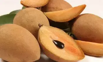 Stronger Bones with Sapota Fruit: ఎముకలు బలంగా మారాలా..? ఈ పండు తింటే ఎన్నో లాభాలు Stronger Bones with Sapota Fruit: ఎముకలు బలంగా మారాలా..? ఈ పండు తింటే ఎన్నో లాభాలు
