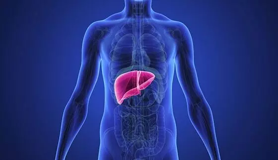 Protect Your Liver: ఈ అలవాట్లు మానుకోండి.. మీ కాలేయాన్ని కాపాడుకోండి!