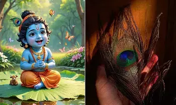 Sri Krishna Janmashtami: శ్రీకృష్ణ జన్మాష్టమి: నెమలి ఈకలతో ఈ పరిహారాలు చేస్తే అద్భుత ఫలితాలు! Sri Krishna Janmashtami: శ్రీకృష్ణ జన్మాష్టమి: నెమలి ఈకలతో ఈ పరిహారాలు చేస్తే అద్భుత ఫలితాలు!