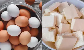 Eggs vs Paneer: గుడ్లు vs పన్నీర్: ప్రొటీన్ కోసం ఏది ఉత్తమం? Eggs vs Paneer: గుడ్లు vs పన్నీర్: ప్రొటీన్ కోసం ఏది ఉత్తమం?