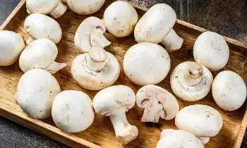 Mushrooms: ఈ ఆరోగ్య సమస్యలున్న వారు మష్రూమ్స్ తినకూడదు! Mushrooms: ఈ ఆరోగ్య సమస్యలున్న వారు మష్రూమ్స్ తినకూడదు!