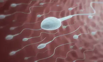 Sperm Count: వీర్య కణాలు త్వరగా పెరగాలంటే ఏం చేయాలి? Sperm Count: వీర్య కణాలు త్వరగా పెరగాలంటే ఏం చేయాలి?