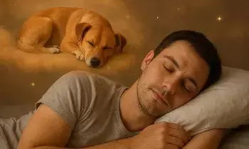 Dog Appearing in a Dream: కలలో కుక్క కనిపిస్తే దాని అర్థం ఏమిటి? శుభమా..? అశుభమా?