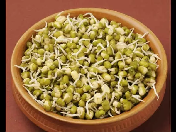 Sprouted Seeds: కొత్తగా పెళ్లైన వారికి మొలకెత్తిన గింజలతో అద్భుత ప్రయోజనాలు