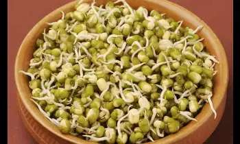 Sprouted Seeds: కొత్తగా పెళ్లైన వారికి మొలకెత్తిన గింజలతో అద్భుత ప్రయోజనాలు Sprouted Seeds: కొత్తగా పెళ్లైన వారికి మొలకెత్తిన గింజలతో అద్భుత ప్రయోజనాలు