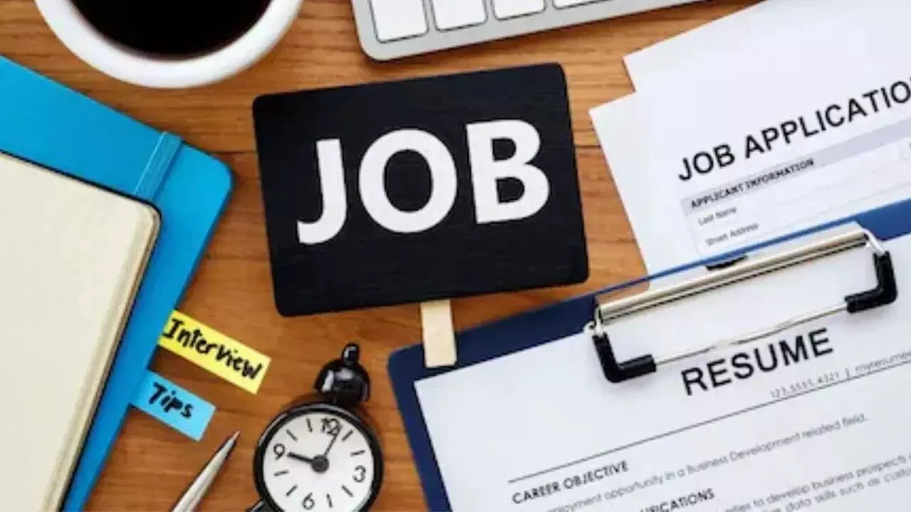 Jobs : ఇక నో జాబ్ టెన్షన్.. 2030 నాటికి ఈ రంగంలో 2.5లక్షల ఉద్యోగాలు