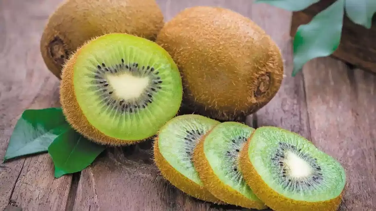 Kiwi Fruit: పోషకాల గని కివి పండు.. క్రమం తప్పకుండా తింటే అద్భుత ఫలితాలు Kiwi Fruit: పోషకాల గని కివి పండు.. క్రమం తప్పకుండా తింటే అద్భుత ఫలితాలు