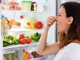 Fridge Smelling Bad: ఫ్రిజ్లో దుర్వాసన వస్తుందా..? టీ ఆకులతో ఇలా చేస్తే.. Fridge Smelling Bad: ఫ్రిజ్లో దుర్వాసన వస్తుందా..? టీ ఆకులతో ఇలా చేస్తే..