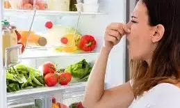 Fridge Smelling Bad: ఫ్రిజ్లో దుర్వాసన వస్తుందా..? టీ ఆకులతో ఇలా చేస్తే.. Fridge Smelling Bad: ఫ్రిజ్లో దుర్వాసన వస్తుందా..? టీ ఆకులతో ఇలా చేస్తే..