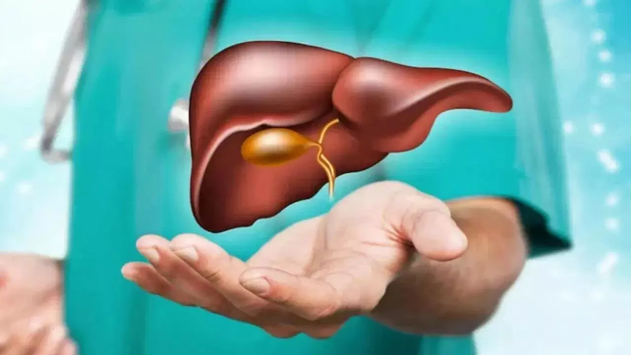 Healthy Liver:  లివర్‌ను సేఫ్‌గా ఉండాలంటే.. ఈ 10 అలవాట్లు మానుకోండి