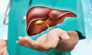 Healthy Liver: లివర్ను సేఫ్గా ఉండాలంటే.. ఈ 10 అలవాట్లు మానుకోండి Healthy Liver: లివర్ను సేఫ్గా ఉండాలంటే.. ఈ 10 అలవాట్లు మానుకోండి