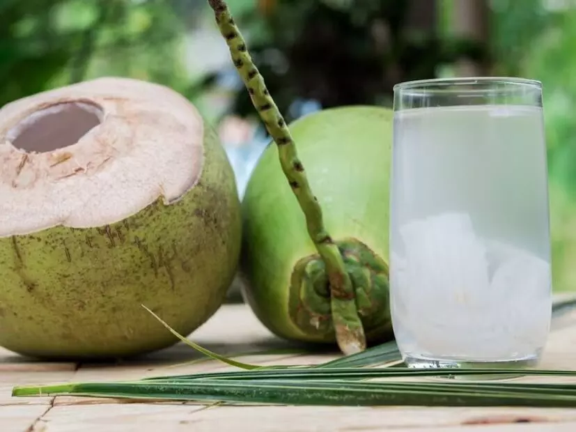 Coconut Water: కొబ్బరి నీళ్ళతో ఇన్ని ఉపయోగాలా?