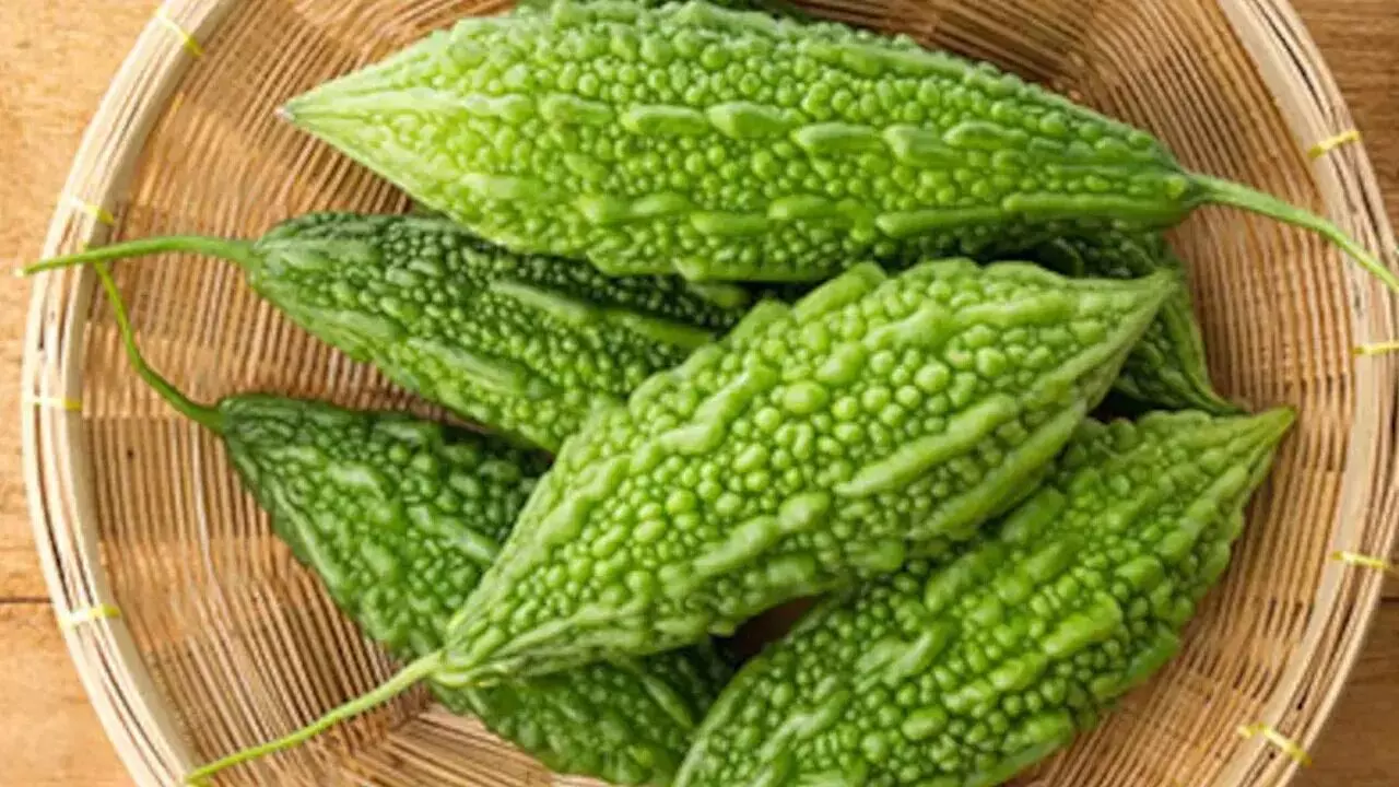Bitter Gourd Curry: చేదు లేని కాకరకాయ కూర తయారీకి చిట్కాలు..