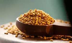Fenugreek: మెంతులతో మధుమేహానికి చెక్.. ఇలా వాడితే.. Fenugreek: మెంతులతో మధుమేహానికి చెక్.. ఇలా వాడితే..