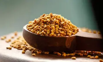 Fenugreek: మెంతులతో మధుమేహానికి చెక్.. ఇలా వాడితే.. Fenugreek: మెంతులతో మధుమేహానికి చెక్.. ఇలా వాడితే..
