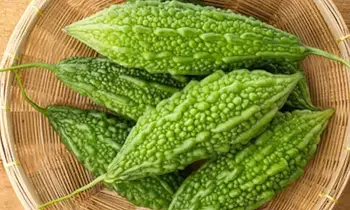 Bitter Gourd Curry: చేదు లేని కాకరకాయ కూర తయారీకి చిట్కాలు.. Bitter Gourd Curry: చేదు లేని కాకరకాయ కూర తయారీకి చిట్కాలు..