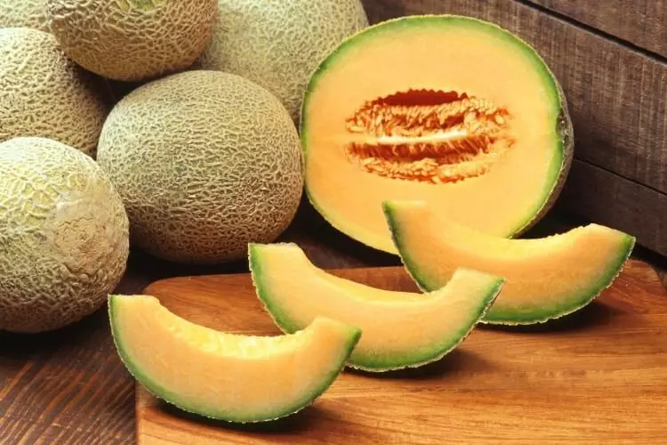 Muskmelon : ఈ ఆరోగ్య సమస్యలు ఉన్నవారు మస్క్ మిలన్ తినకూడదు.. తింటే ఏమవుతుందో తెలుసా..? Muskmelon : ఈ ఆరోగ్య సమస్యలు ఉన్నవారు మస్క్ మిలన్ తినకూడదు.. తింటే ఏమవుతుందో తెలుసా..?