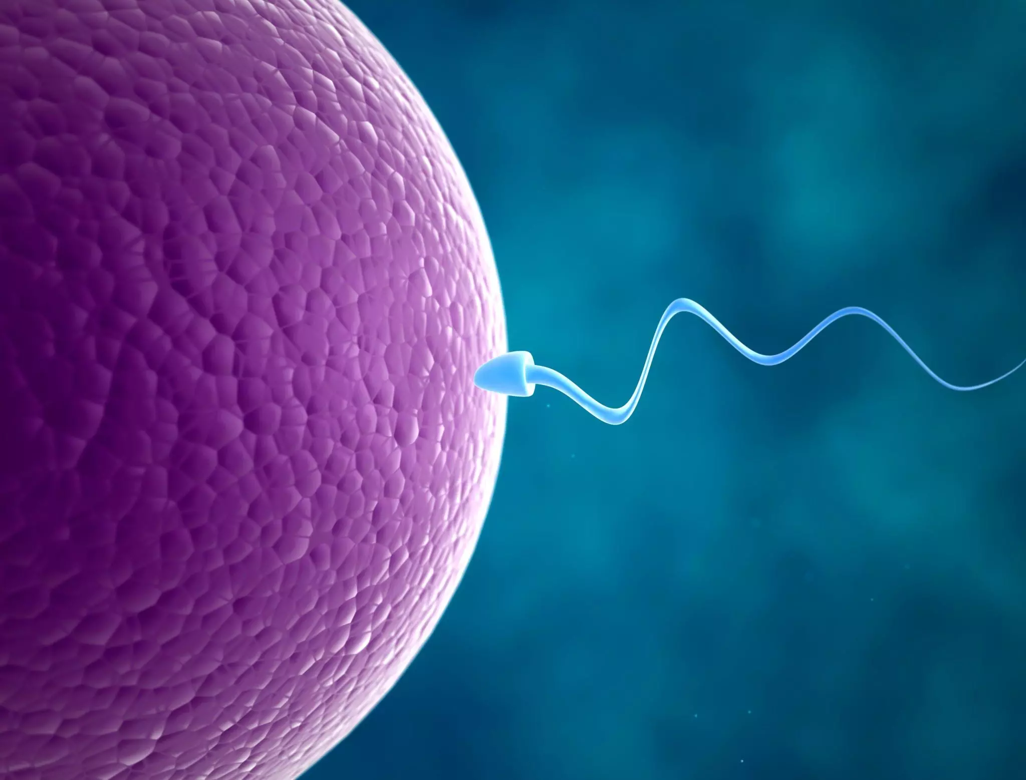 Fertility: ఫెర్టిలిటీ అంటే ఏమిటి? Fertility: ఫెర్టిలిటీ అంటే ఏమిటి?