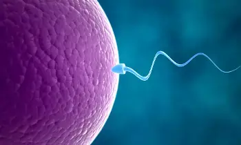 Fertility: ఫెర్టిలిటీ అంటే ఏమిటి? Fertility: ఫెర్టిలిటీ అంటే ఏమిటి?