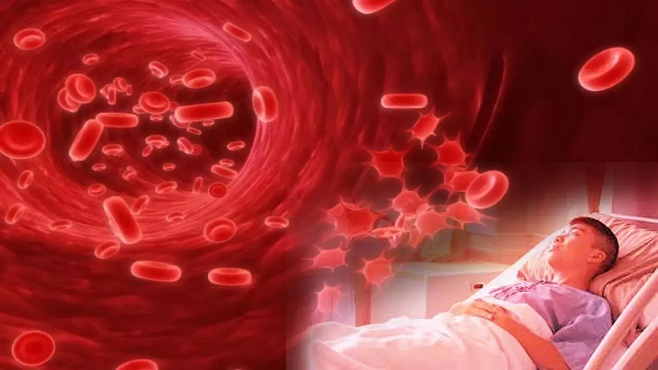 Platelets: ప్లేట్ లెట్స్ అంటే ఏంటి..ఎందుకు తగ్గుతాయి? Platelets: ప్లేట్ లెట్స్ అంటే ఏంటి..ఎందుకు తగ్గుతాయి?