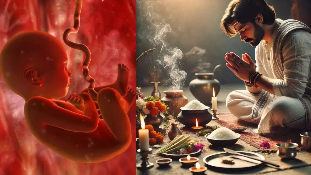 Pitru Paksha: పితృ పక్షంలో గర్భిణీ స్త్రీలు తీసుకోవాల్సిన జాగ్రత్తలు ఇవే.. Pitru Paksha: పితృ పక్షంలో గర్భిణీ స్త్రీలు తీసుకోవాల్సిన జాగ్రత్తలు ఇవే..