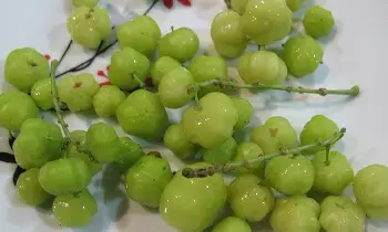Amla (Indian Gooseberry): ఉసిరికాయ తింటే లాభాలు ఎంటీ? Amla (Indian Gooseberry): ఉసిరికాయ తింటే లాభాలు ఎంటీ?