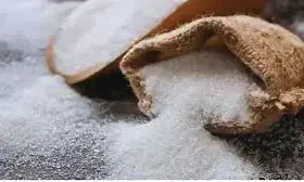 Sugar Stocks : సుప్రీంకోర్టు నిర్ణయంతో చక్కెర కంపెనీలకు ఊతం.. పరుగులు పెరుగుతున్న స్టాక్స్ Sugar Stocks : సుప్రీంకోర్టు నిర్ణయంతో చక్కెర కంపెనీలకు ఊతం.. పరుగులు పెరుగుతున్న స్టాక్స్